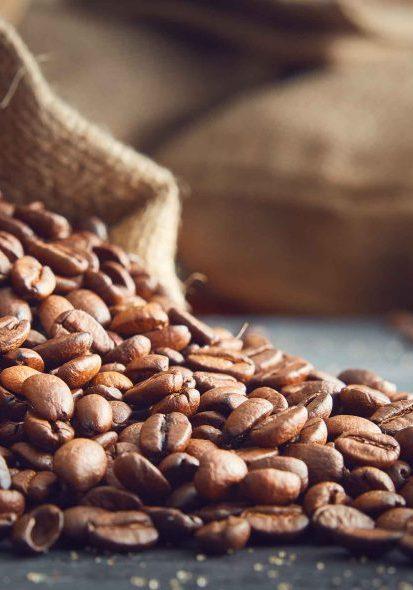 How Long Do Coffee Beans Last? The Complete Freshness Guide